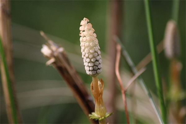 超甜的女生乳名大全，寓意可可爱爱
