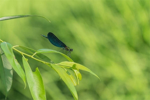 如何给宝宝起个让人印象深刻的名字