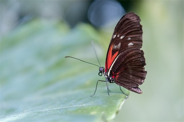 好听的女生名字 羊年女宝宝气质优雅的名字大全
