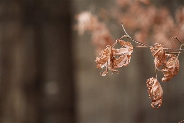 百家姓起名：刘姓女孩起名禁忌