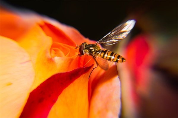 百家姓取名大全：有内涵的钱姓宝宝名字