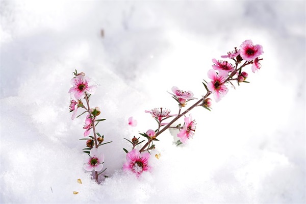 昱珩名字好吗（名字寓意及其选择）