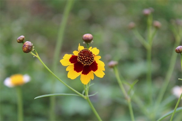 独一无二最好听男孩单名
