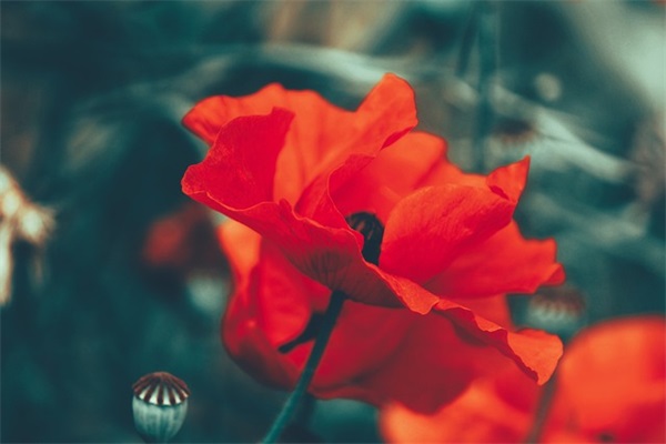 男宝宝起名单字大全带五行个性好听