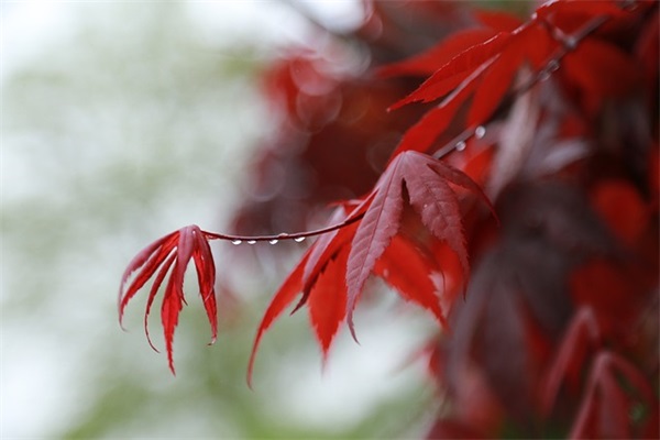 暖心可爱宝宝小名起名八妙招