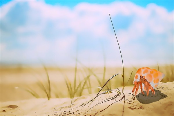 小名乳名大全：宝宝乳名案例分析