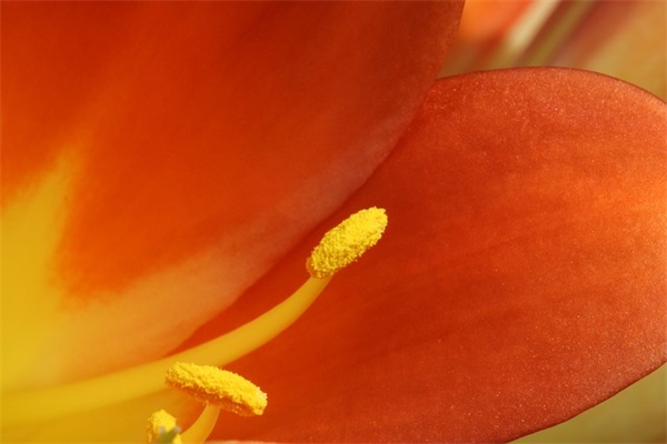 免费取名：来自易经的女孩名字