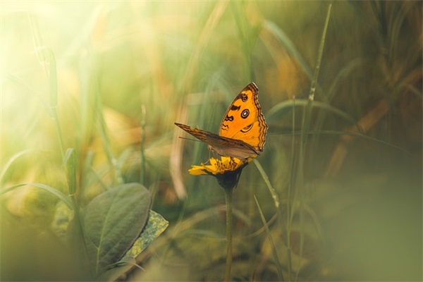 男孩名字大全：名字大全男孩