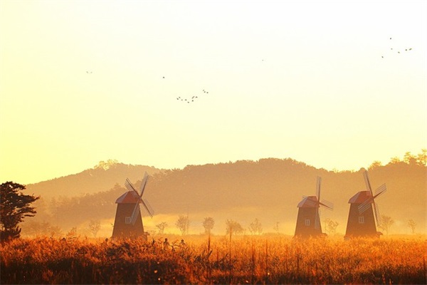 给孩子起名如何选择用字，这些用字技巧要了解