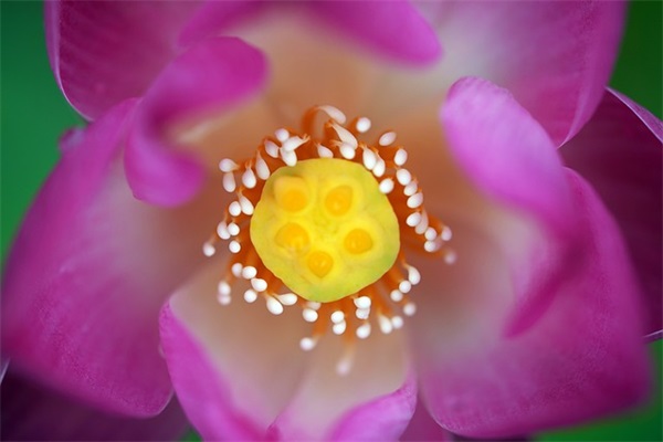 文氏男宝宝名字：三种起名方式