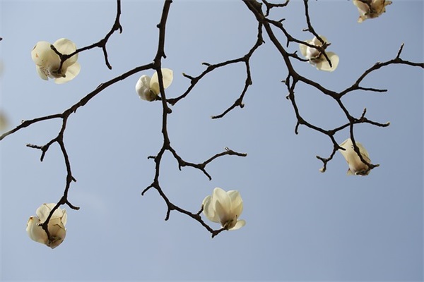 两个字好听的孟姓男孩名字大全