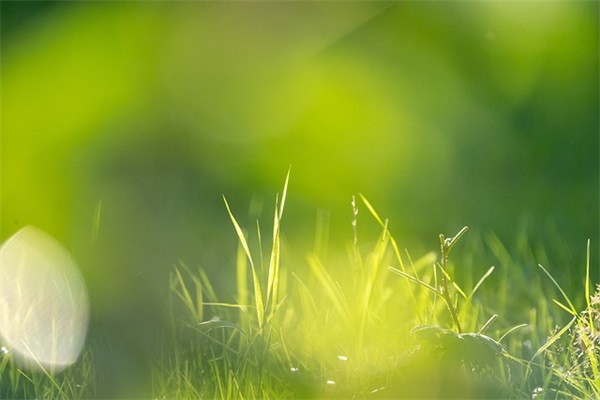 古诗词女孩取名技巧