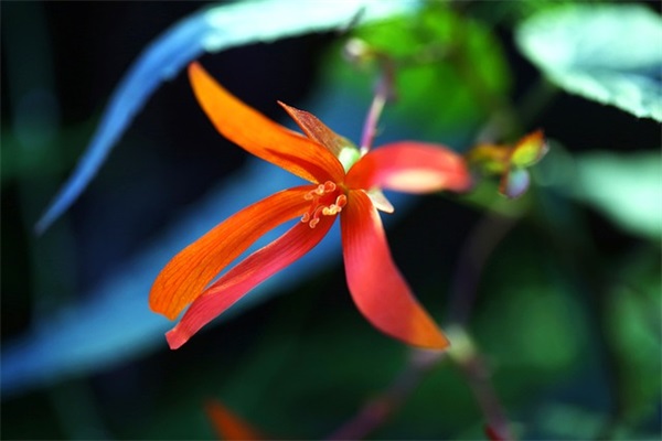 好听的情侣游戏名