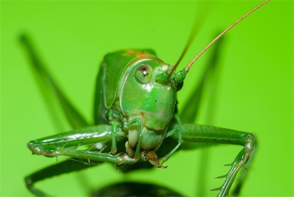 2025年10月最旺男孩名字