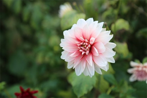 有气质的覃姓女孩名字大全