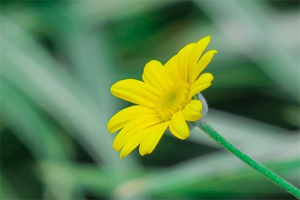 神气的宝宝好名字（下）