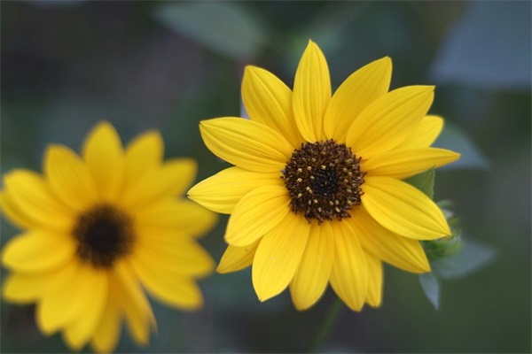 2025年孟姓男宝宝两个字名字