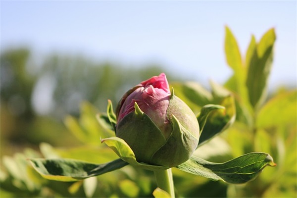 周易取名：好听又有内涵的男孩名