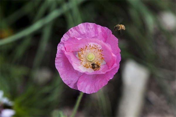 男孩女孩免费起名2025很潮的名字