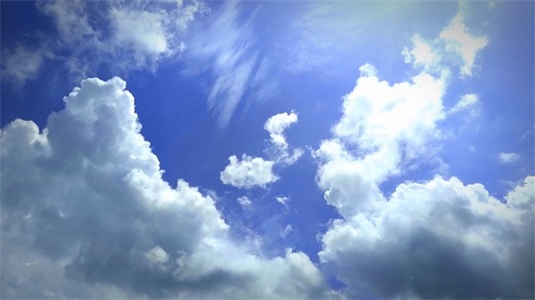 2025年可爱到爆炸的崽崽小名来了，可爱到尖叫!