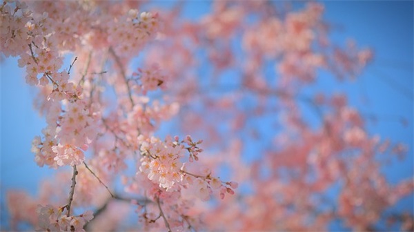 男孩起名：有寓意的男孩名字大全