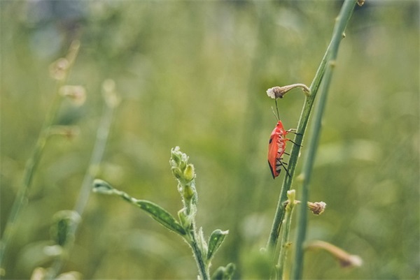 为何要结全生辰八字起名字