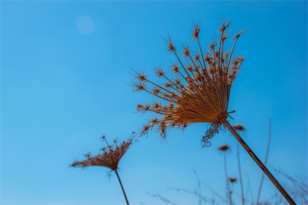 男孩名字大全：鸡年宝宝大气的名字一览