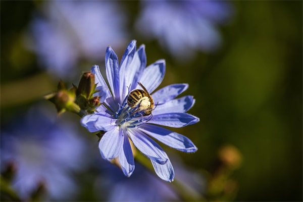 女宝宝姓张怎么起名寓意聪明？张姓女宝宝好的名字参考