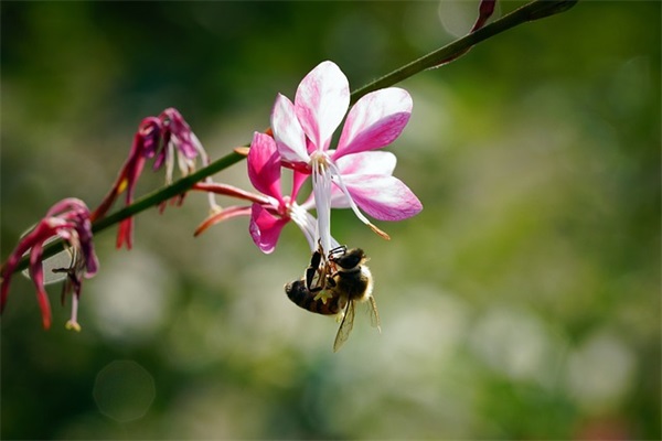 小名乳名大全：如何给女宝宝起小名