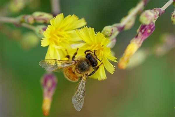 柳姓的宝宝名字大全