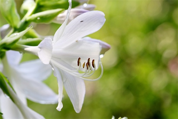 女宝宝名字大全 为八字五行缺火女宝宝起名字