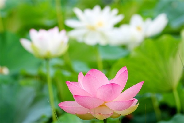 男孩名字大全：年男宝宝经典起名示例