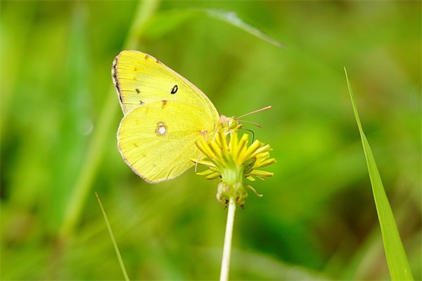 宝宝乳名起名9大禁忌
