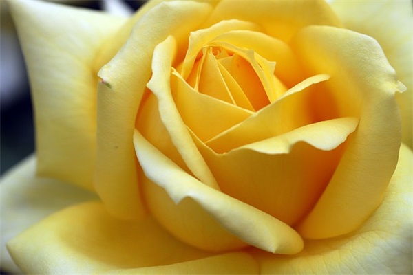 简单的吃鸡情侣网名