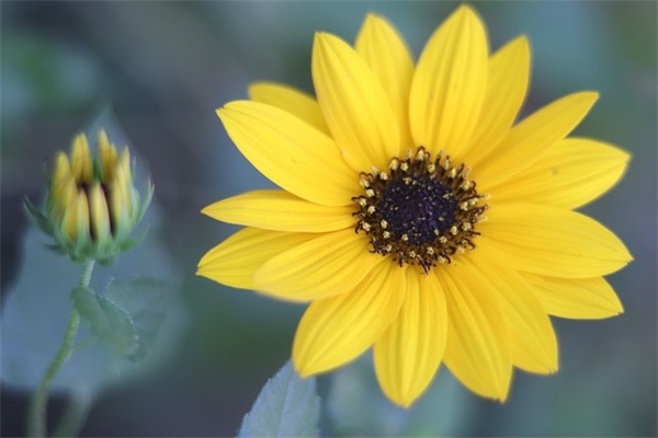 个性男神网名二字