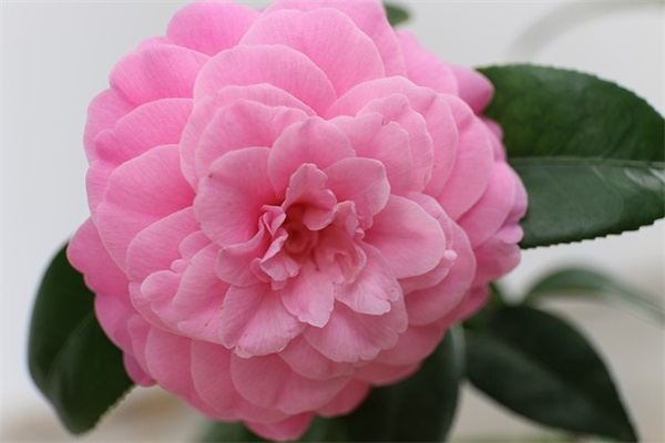 感伤网名女简单