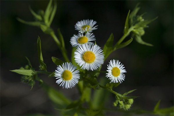 带逆光的男生QQ网名