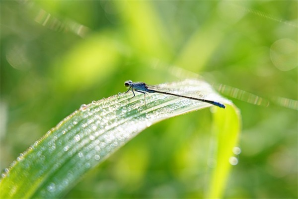 残墨断诗古风网名