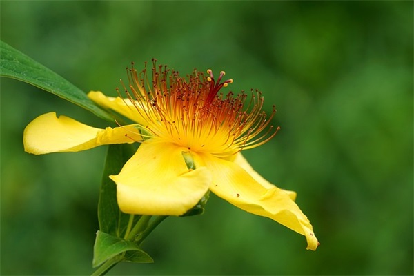 qq网名大全俩字的