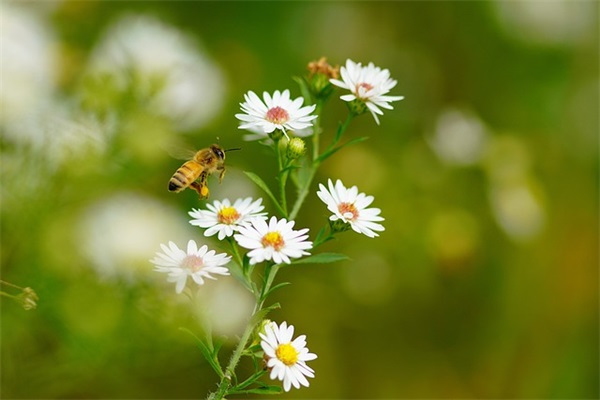 qq分手网名男生