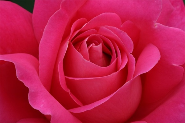 qq网名女生个性