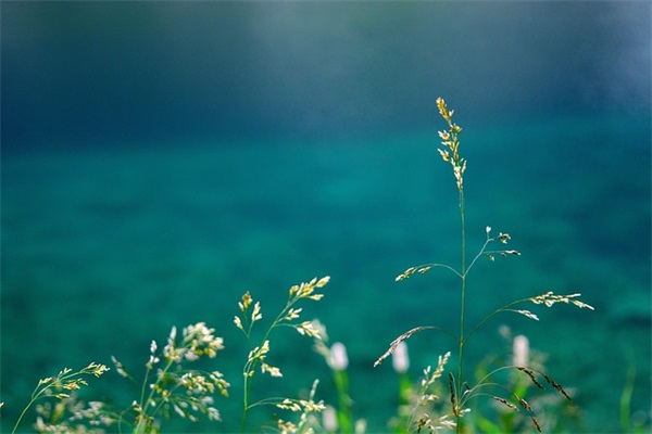 比较高冷的古风的网名