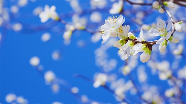 男士个性网名有什么