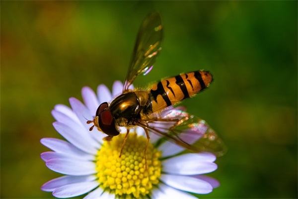 神仙网名女生可爱奇怪