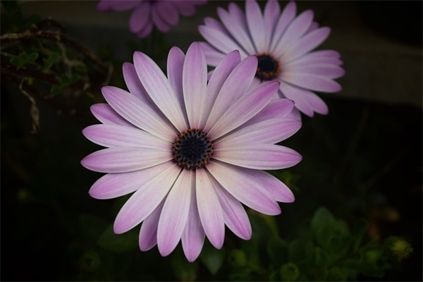 微信个性网名冷漠女