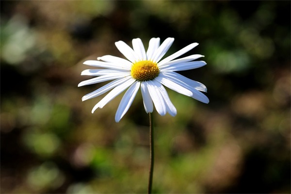 6字古风古韵网名