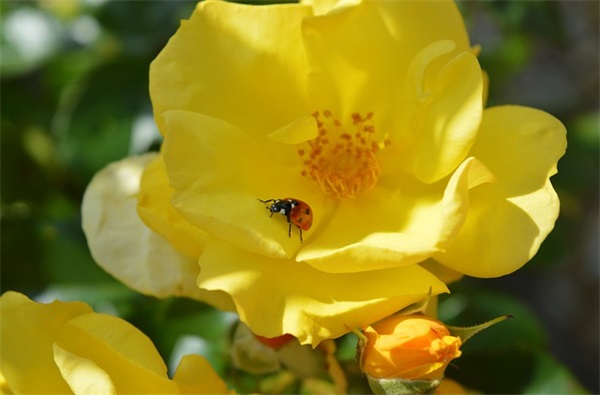 qq情侣网名简单