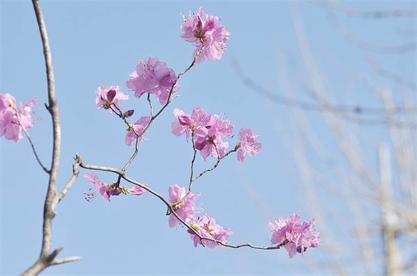 超字开头可爱网名女生