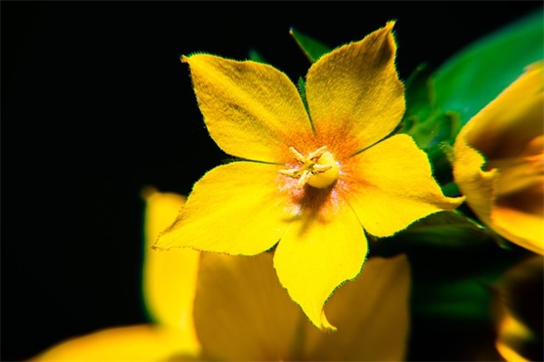 设计老师网名女生可爱