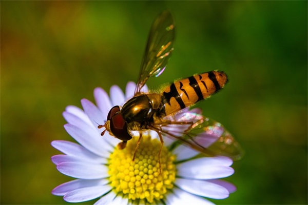 非主流可爱情侣网名带对方